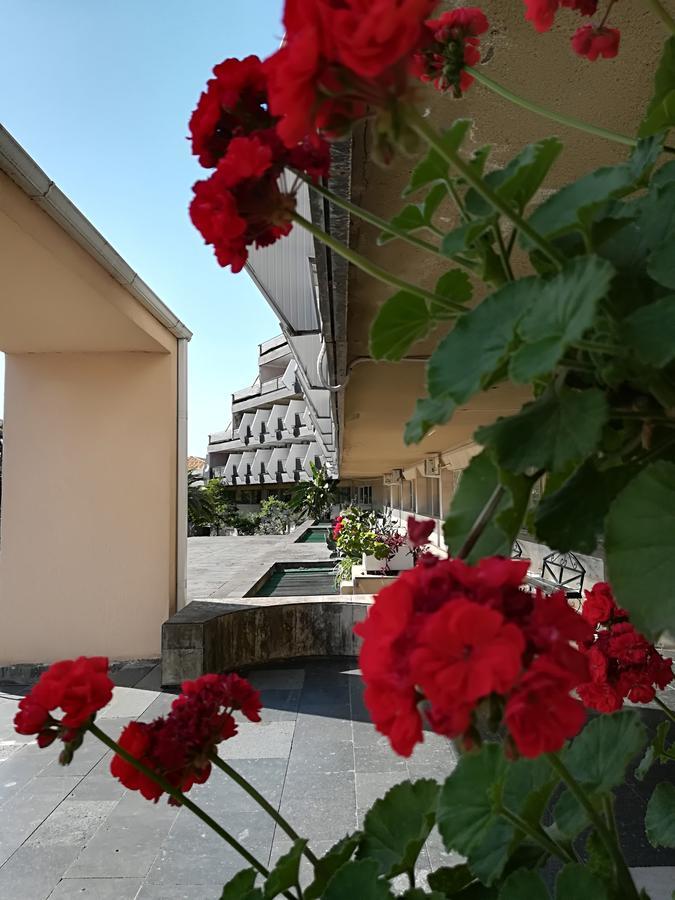 Гостиница Ива Gagra Exteriér fotografie